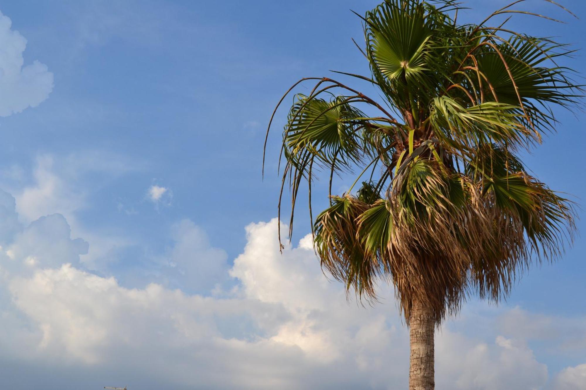Affittacamere Torre Lapillo Εξωτερικό φωτογραφία